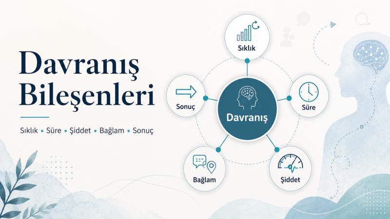 Davranış Bileşenleri Nelerdir? Psikoloji Kuramlarında Açıklaması